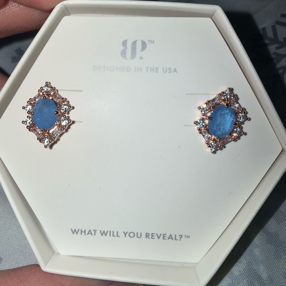 Elegant Blue and Rose Gold Earrings